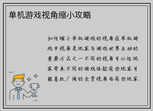 单机游戏视角缩小攻略